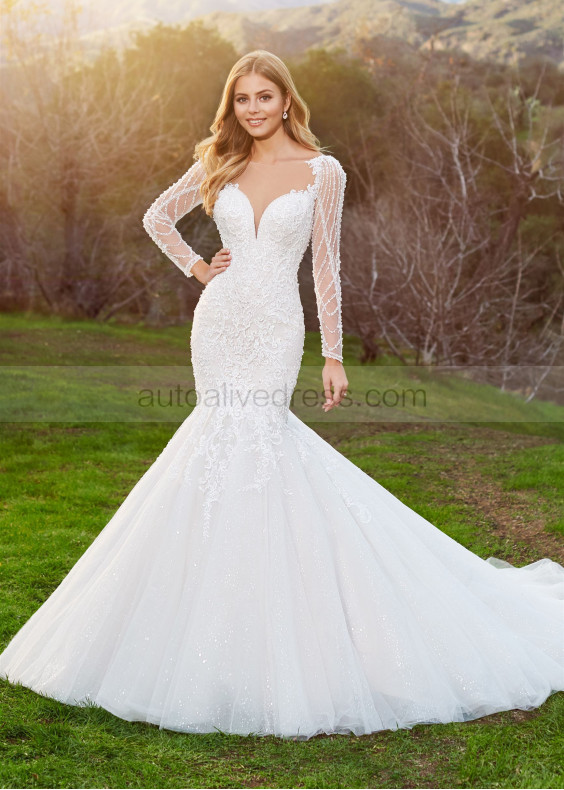 Long Sleeves Beaded Ivory Lace Tulle Luxurious Wedding Dress